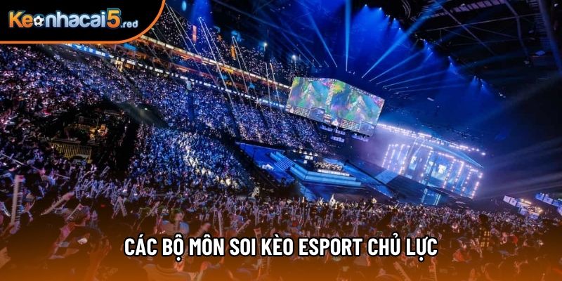 Các bộ môn soi kèo esport chủ lực