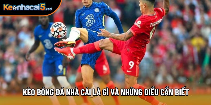 Kèo bóng đá nhà cái là gì và những điều cần biết