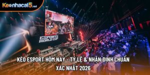 Kèo Esport Hôm Nay - Tỷ Lệ & Nhận Định Chuẩn Xác Nhất 2026