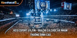 Kèo Esport Uy Tín - Địa Chỉ Cá Cược Và Nhận Thưởng Đỉnh Cao