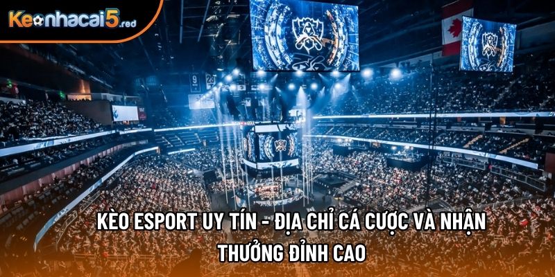 Kèo Esport Uy Tín - Địa Chỉ Cá Cược Và Nhận Thưởng Đỉnh Cao