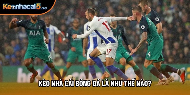 Kèo nhà cái bóng đá là như thế nào? Kèo nhà cái bóng đá là như thế nào?