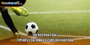 Soi Kèo Phạt Góc - Tìm Hiểu Loại Hình Cá Cược Đầy Hấp Dẫn