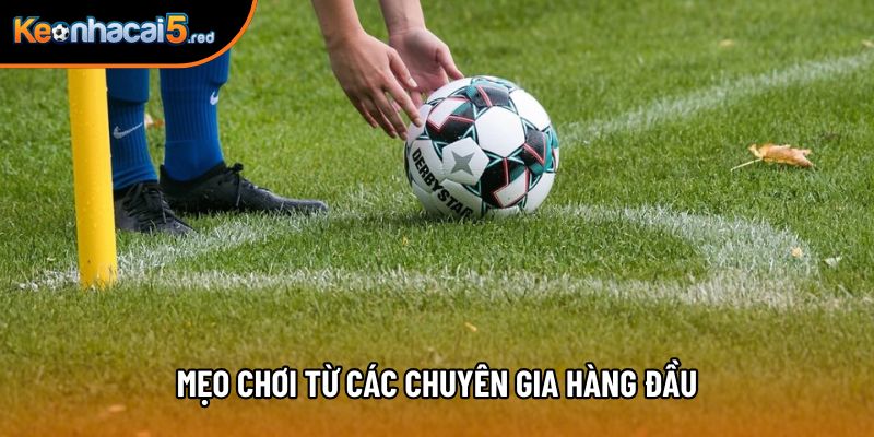 Mẹo chơi từ các chuyên gia hàng đầu Mẹo chơi từ các chuyên gia hàng đầu