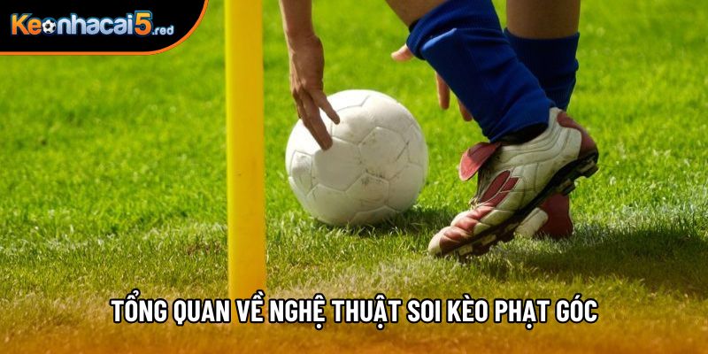 Tổng quan về nghệ thuật soi kèo phạt góc Tổng quan về nghệ thuật soi kèo phạt góc