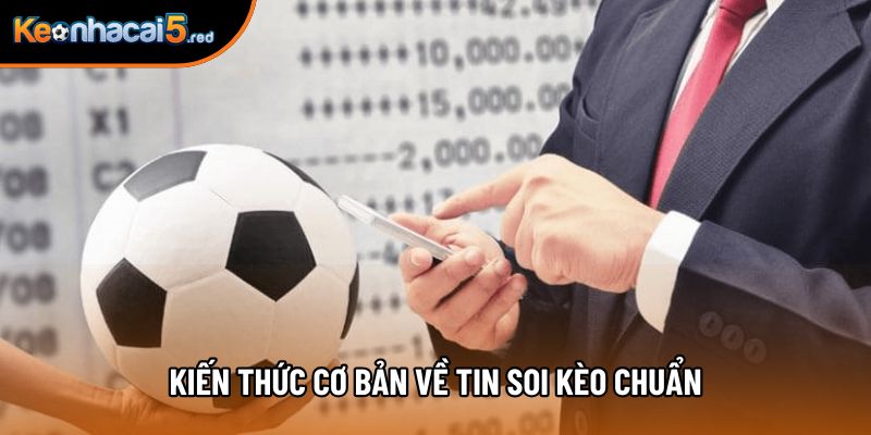 Kiến thức cơ bản về tin soi kèo chuẩn Kiến thức cơ bản về tin soi kèo chuẩn