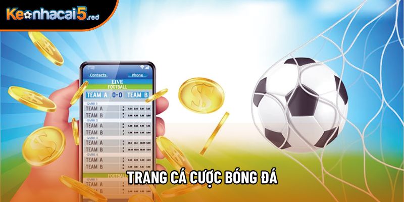 Trang cá cược bóng đá uy tín hàng đầu hiện nay là đâu?
