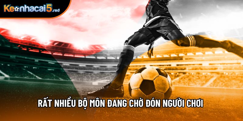 Rất nhiều bộ môn đang chờ đón người chơi tại sảnh chơi này Rất nhiều bộ môn đang chờ đón người chơi tại sảnh chơi này