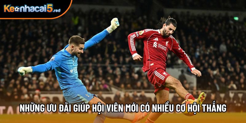 Những ưu đãi giúp hội viên mới có nhiều cơ hội thắng lớn Những ưu đãi giúp hội viên mới có nhiều cơ hội thắng lớn