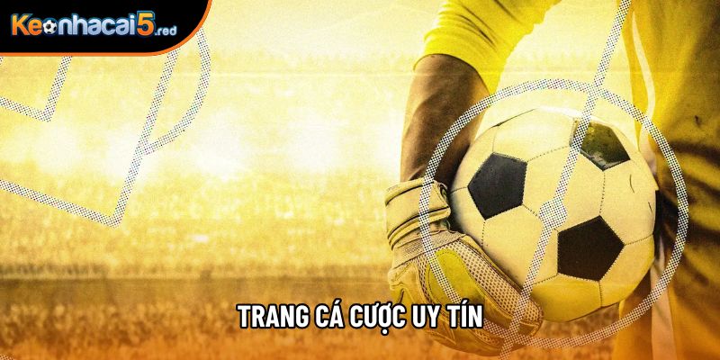Trang Cá Cược Uy Tín Nào Đang Dẫn Đầu Thị Trường Châu Á?