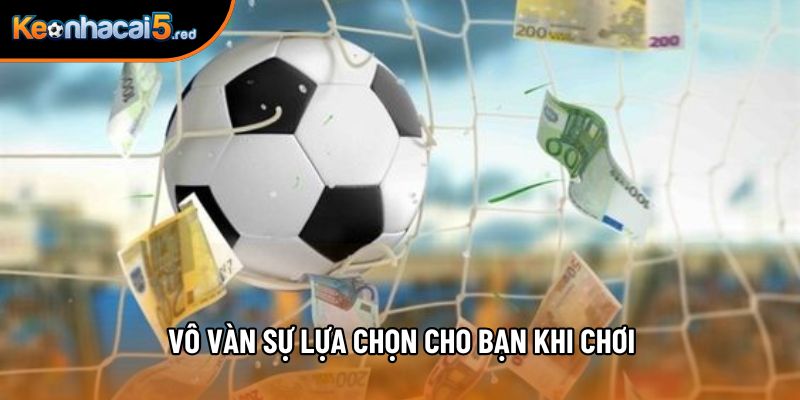 Vô vàn sự lựa chọn cho bạn khi chơi