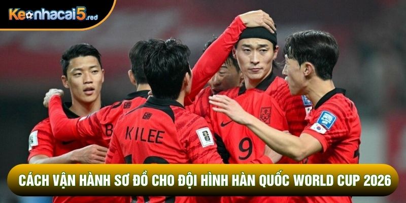 Cách vận hành sơ đồ cho đội hình hàn quốc world cup 2026