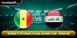Dự Đoán Tỷ Số Senegal vs Iraq, 02h Ngày 27/06 - World Cup