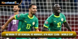 Dự Đoán Tỷ Số Senegal Vs Norway, 07h Ngày 23/06 - World Cup