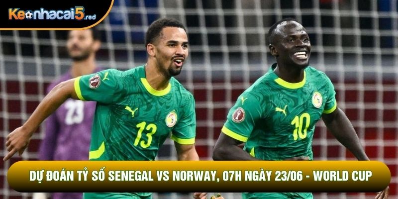Dự Đoán Tỷ Số Senegal Vs Norway, 07h Ngày 23/06 - World Cup