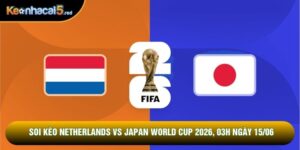 Soi Kèo Netherlands Vs Japan World Cup 2026, 03h Ngày 15/06